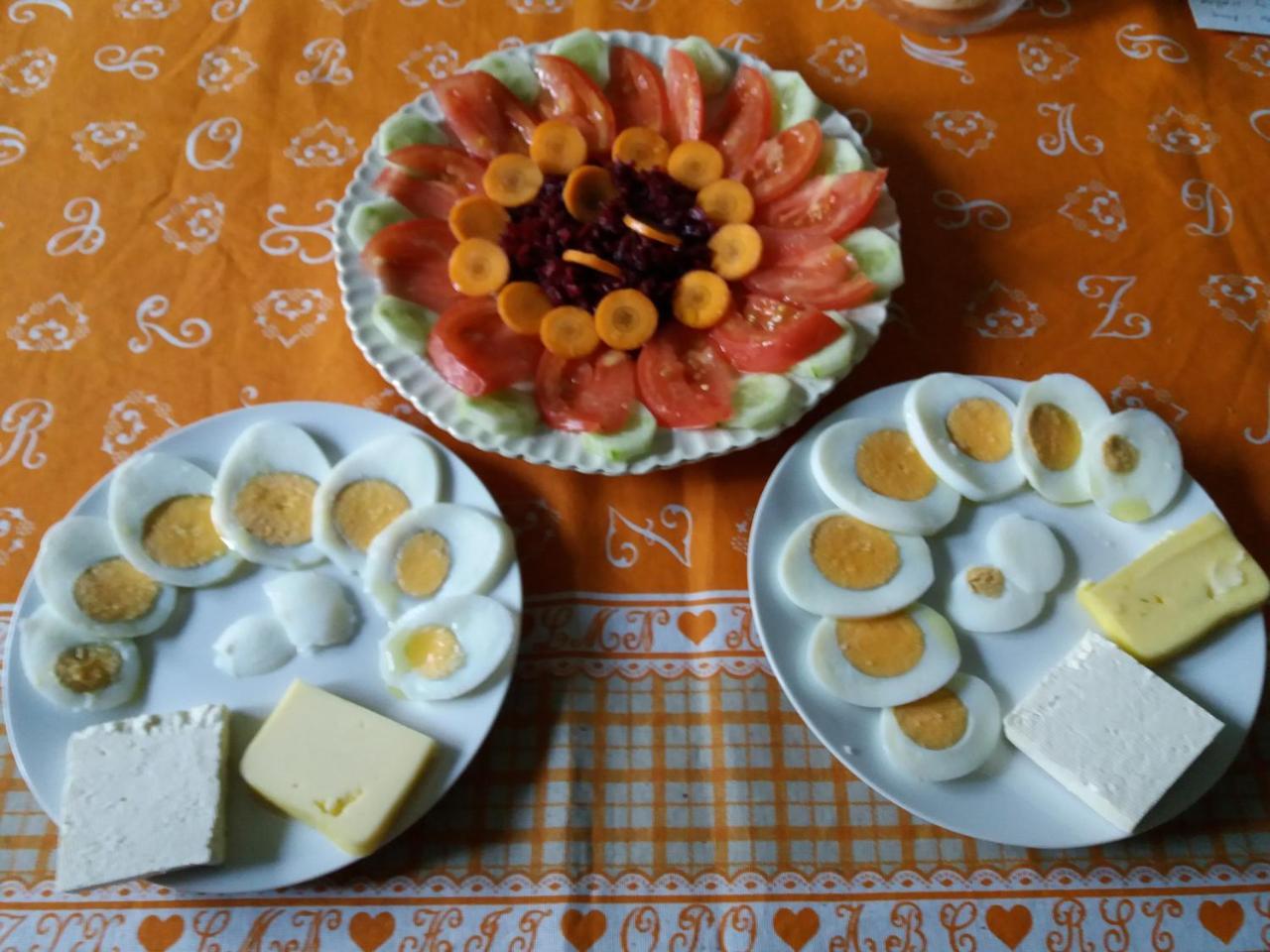 Pashko Vasa Guesthouse Szkodra Zewnętrze zdjęcie
